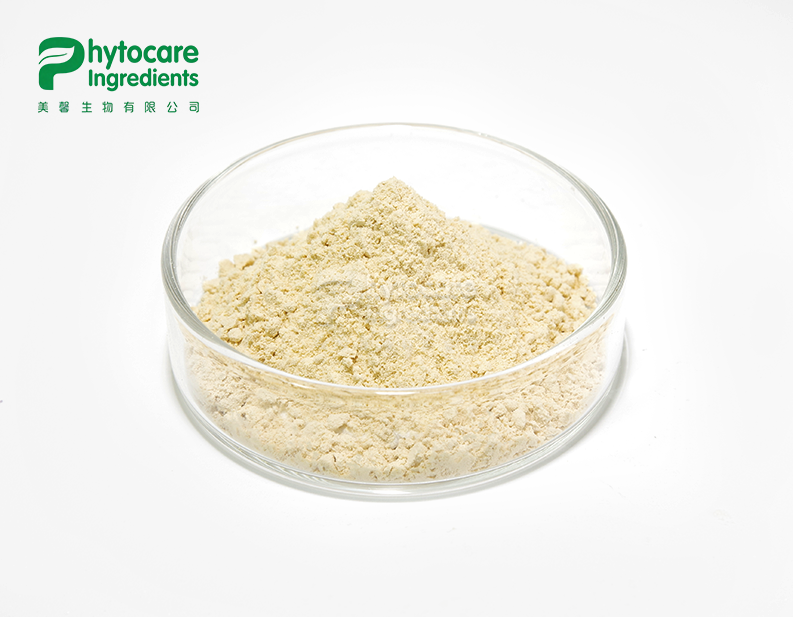 Carnosic Acid Powder